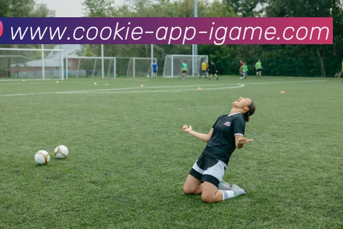 多媒体互动体验