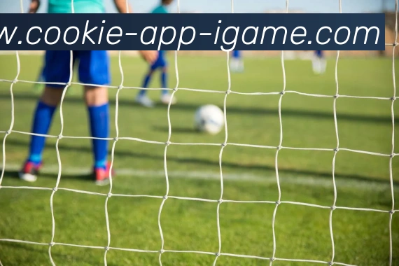 爱游戏APPAPP 体育赛事宣传图